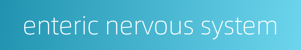 enteric nervous system的同义词