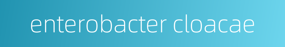 enterobacter cloacae的同义词