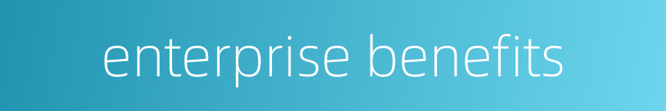enterprise benefits的同义词