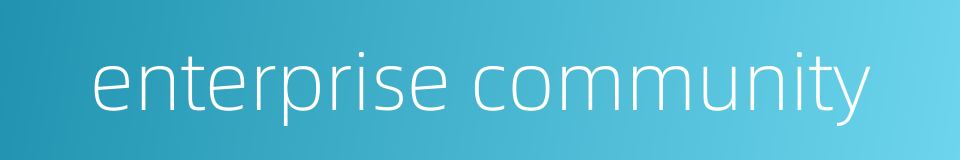 enterprise community的同义词