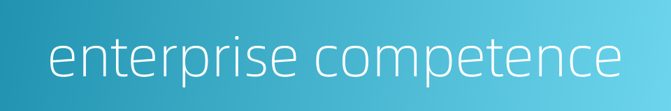 enterprise competence的同义词