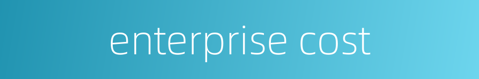 enterprise cost的同义词