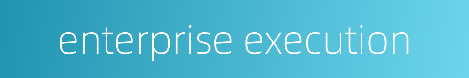 enterprise execution的同义词