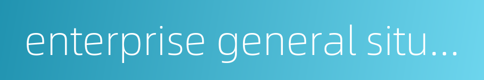 enterprise general situation的同义词
