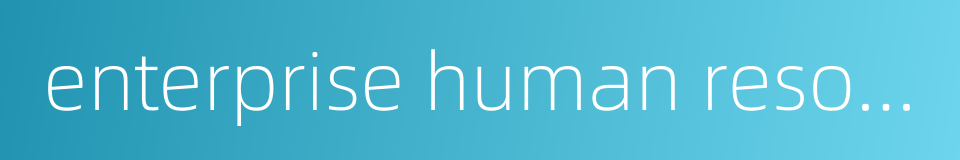 enterprise human resource manager的同义词