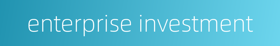 enterprise investment的同义词