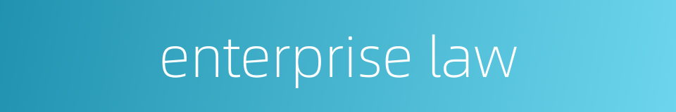 enterprise law的同义词