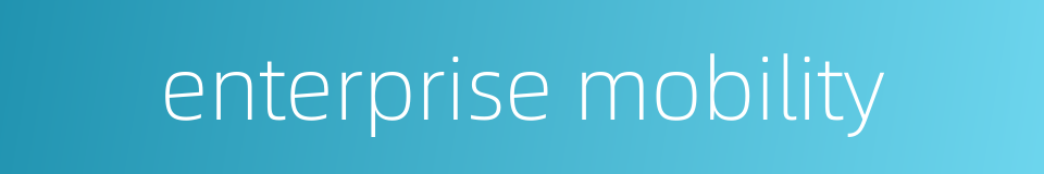 enterprise mobility的同义词
