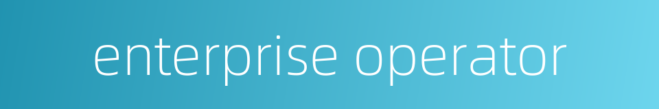 enterprise operator的同义词