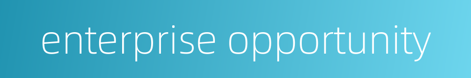 enterprise opportunity的同义词