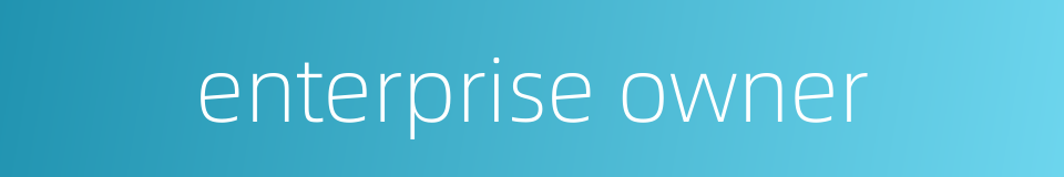 enterprise owner的同义词