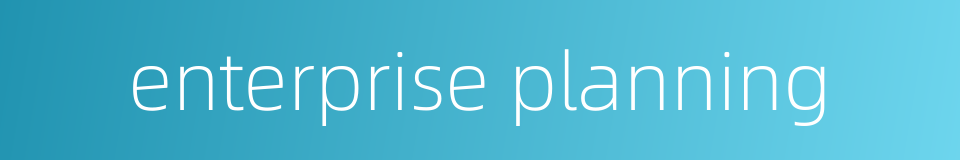 enterprise planning的同义词