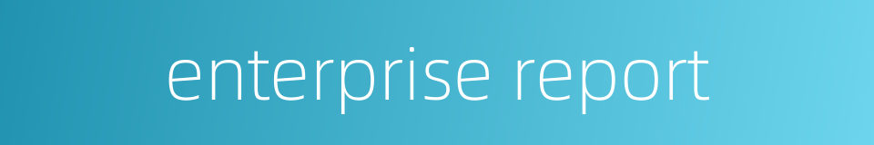 enterprise report的同义词