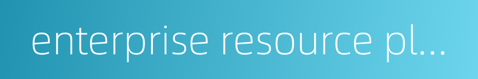 enterprise resource planning的同义词