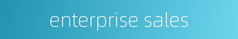 enterprise sales的同义词