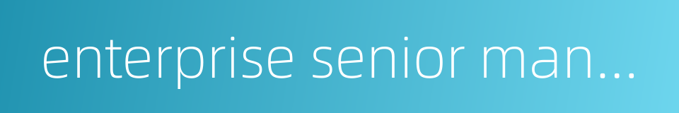 enterprise senior manager的同义词