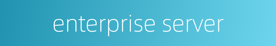 enterprise server的同义词