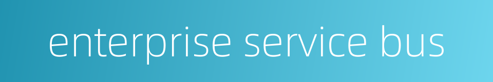 enterprise service bus的同义词