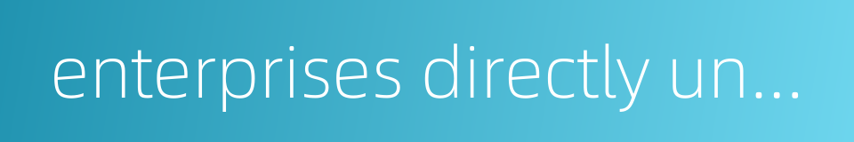 enterprises directly under central management的同义词