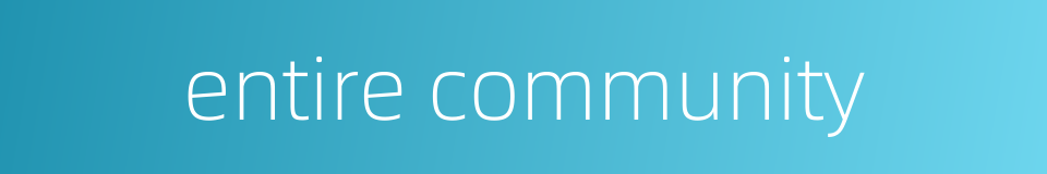 entire community的同义词