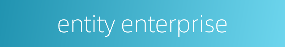 entity enterprise的同义词