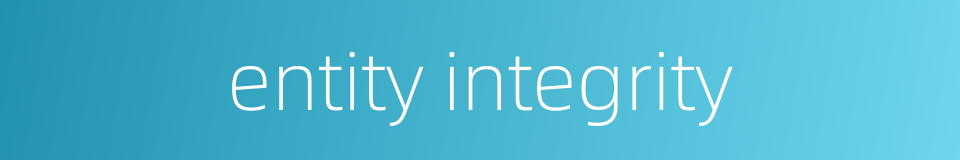 entity integrity的同义词