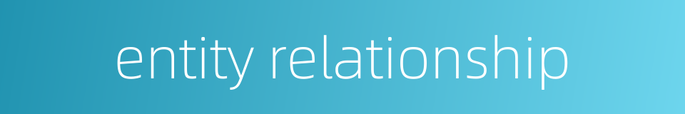 entity relationship的同义词
