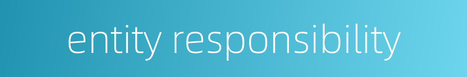 entity responsibility的同义词