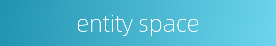 entity space的同义词
