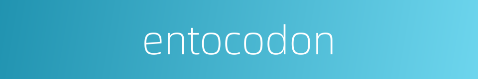 entocodon的同义词