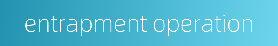entrapment operation的同义词