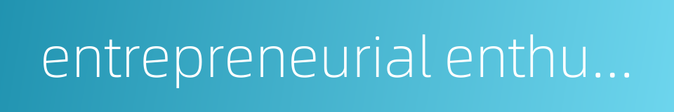 entrepreneurial enthusiasm的同义词