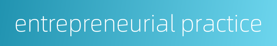 entrepreneurial practice的同义词