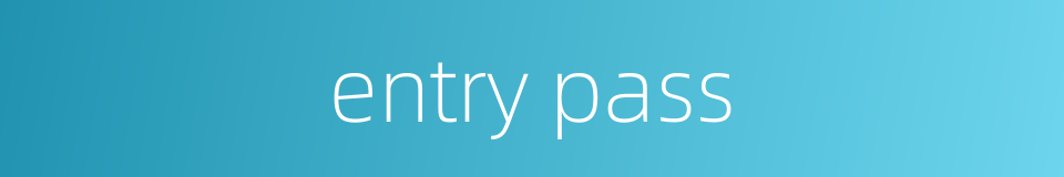entry pass的同义词