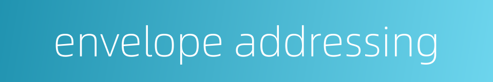envelope addressing的同义词