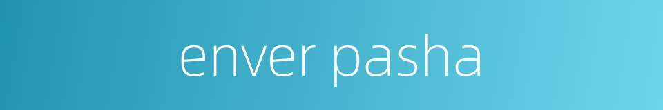enver pasha的同义词