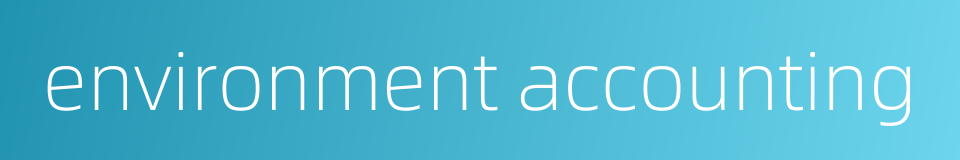 environment accounting的同义词