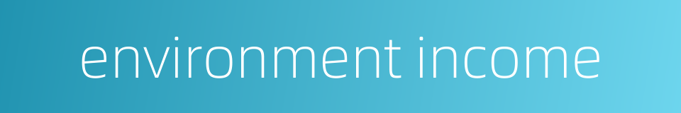 environment income的同义词