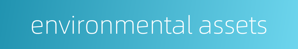 environmental assets的同义词