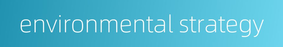 environmental strategy的同义词