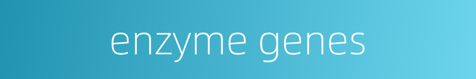 enzyme genes的同义词