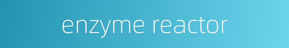 enzyme reactor的同义词