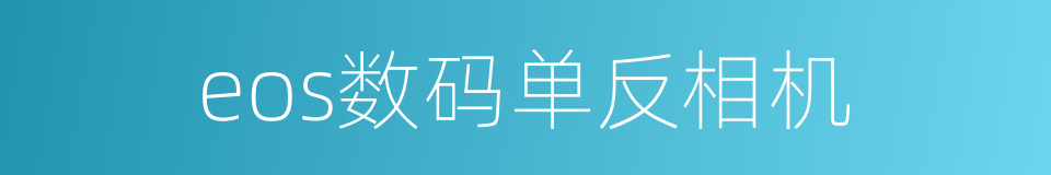 eos数码单反相机的同义词