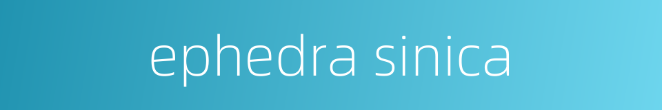 ephedra sinica的同义词