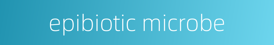 epibiotic microbe的同义词
