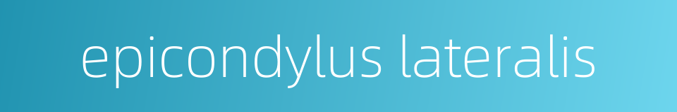 epicondylus lateralis的同义词
