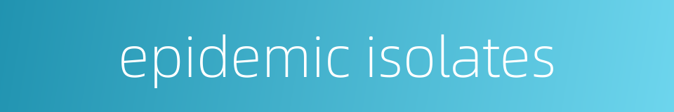 epidemic isolates的同义词
