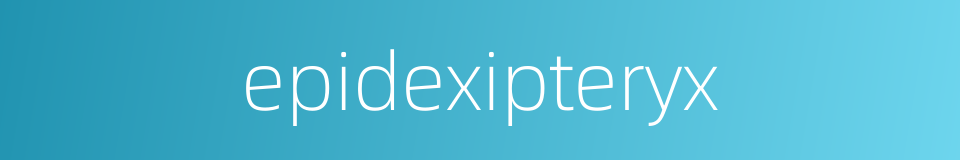 epidexipteryx的同义词