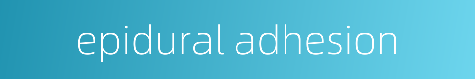 epidural adhesion的同义词