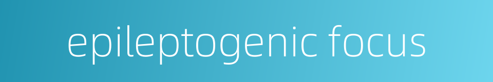 epileptogenic focus的同义词